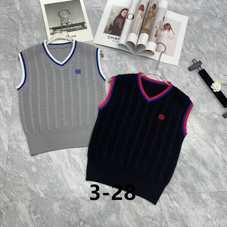 Loewe S-XL  (16)